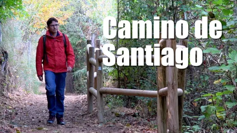 Únete al Camino de Santiago organizado desde Murcia y vive una experiencia inolvidable
